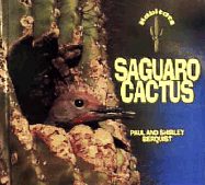 Saguaro Cactus