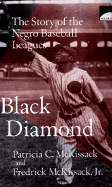 Black Diamond: The Story of the Negro Baseball Leagues