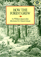 How the Forest Grew