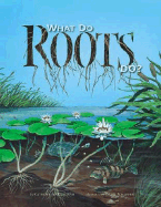 What Do Roots Do?