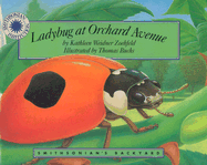 Ladybug at Orchard Avenue