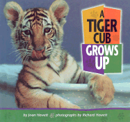 A Tiger Cub Grows Up