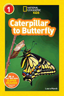 Caterpillar to Butterfly