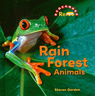 Rain Forest Animals
