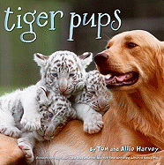 Tiger Pups