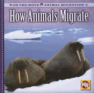 How Animals Migrate