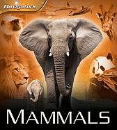 Mammals