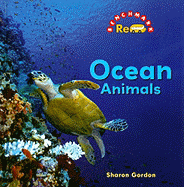 Ocean Animals