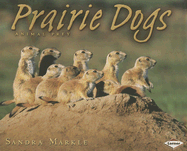 Prairie Dogs