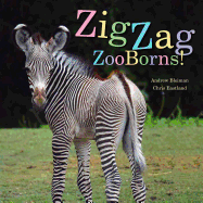 Zigzag Zooborns!: Zoo Baby Colors and Patterns