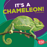 It's a Chameleon!