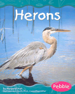 Herons