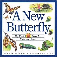 A New Butterfly