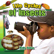 Life Cycles of Insects