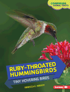 Ruby-Throated Hummingbirds: Tiny Hovering Birds