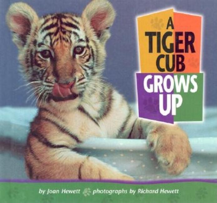 Tiger Cub Grows Up, A