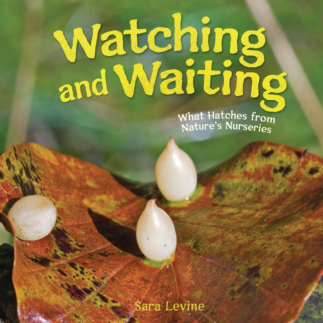 Watching and Waiting: What Hatches from Nature's Nurseries