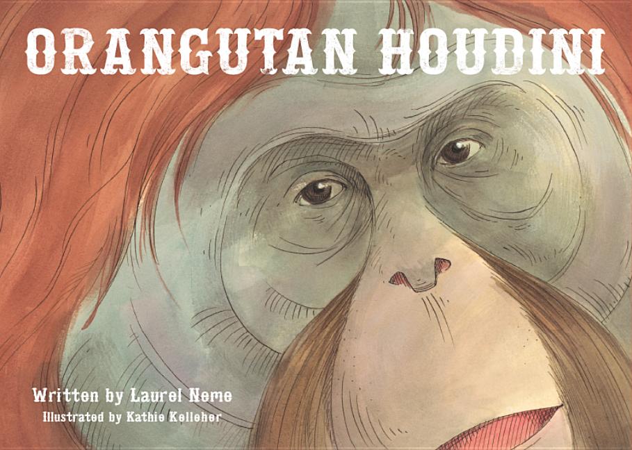 Orangutan Houdini