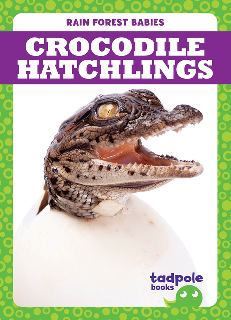 Crocodile Hatchlings