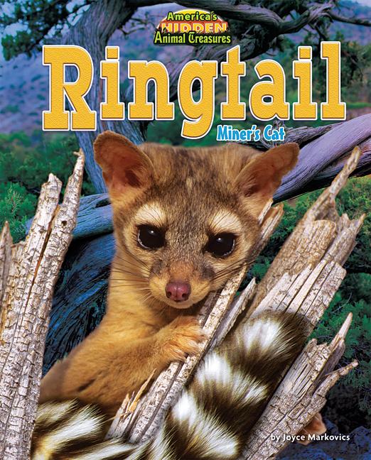 Ringtail: Miner's Cat