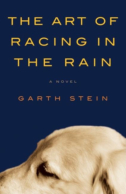 Art of Racing in the Rain, The