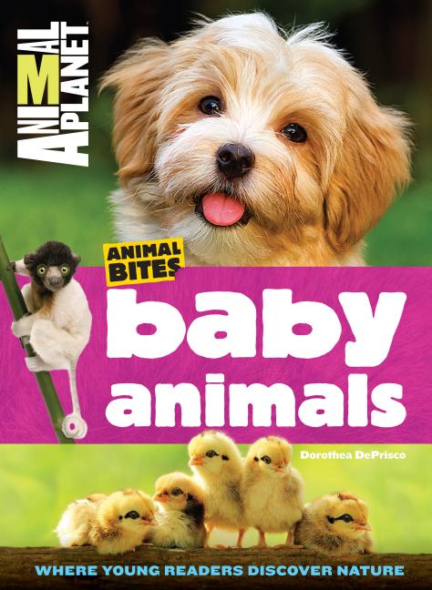 Baby Animals