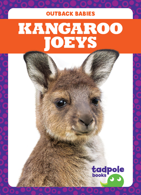 Kangaroo Joeys