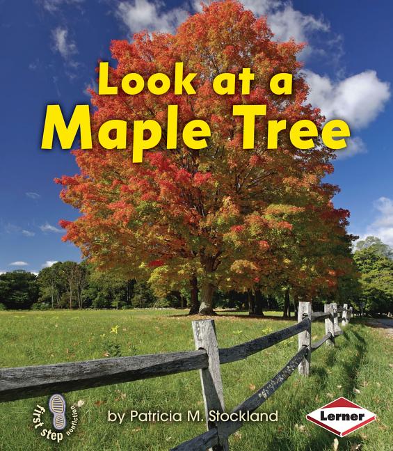 Look at a Maple Tree