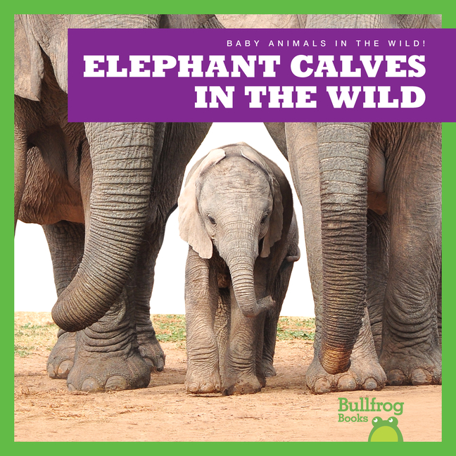 Elephant Calves in the Wild