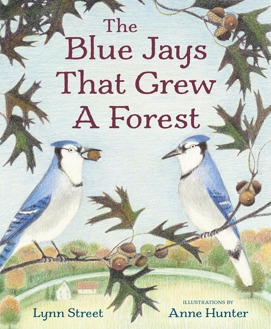 Blue Jays That Grew a Forest, The