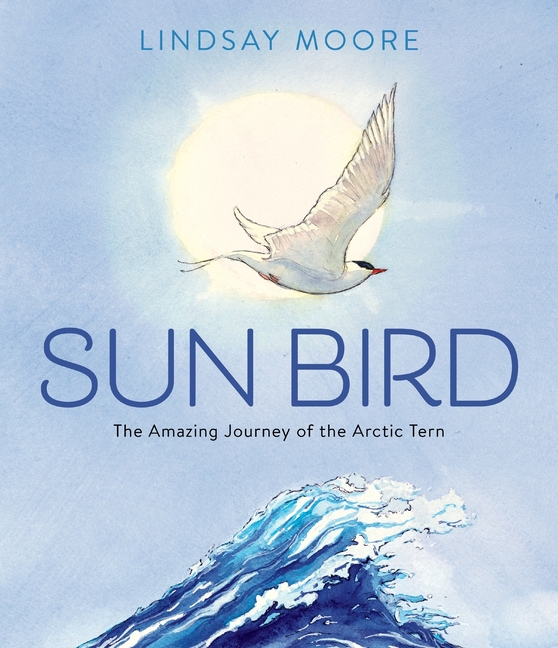Sun Bird: The Amazing Journey of the Arctic Tern