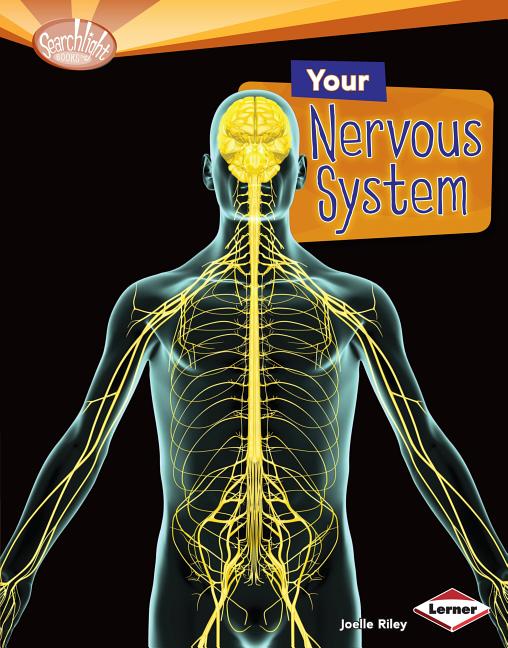 Your Nervous System