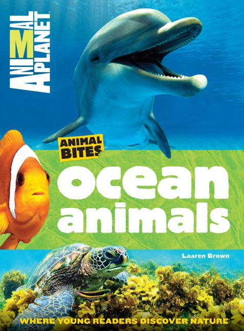 Ocean Animals