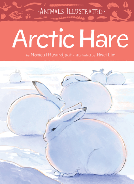 Arctic Hare