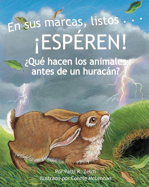 En sus marcas, listos... ¡ESPÉREN!: ¿Qué hacen los animales antes de un huracán?