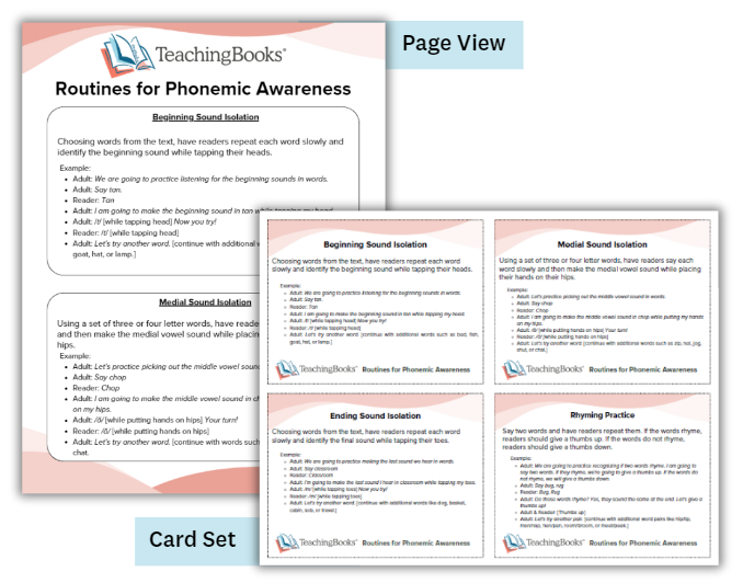 Instructional Routines