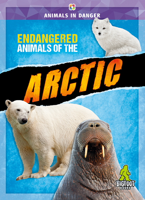 Endangered Animals of the Arctic