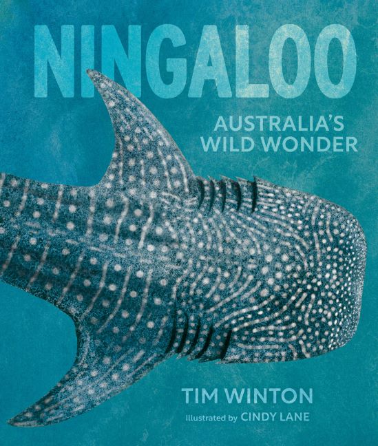 Ningaloo: Australia's Wild Wonder