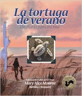 La tortuga de verano: Un diario para mi hija